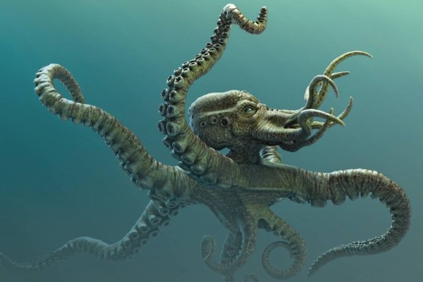 Kraken 8 at сайт