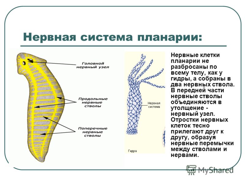 Кракен ссылка даркнет