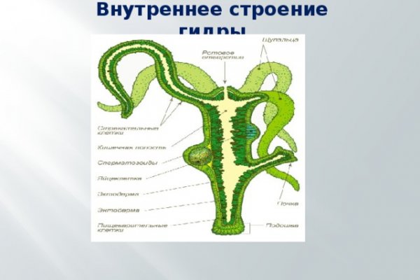 Кракен наркота что это